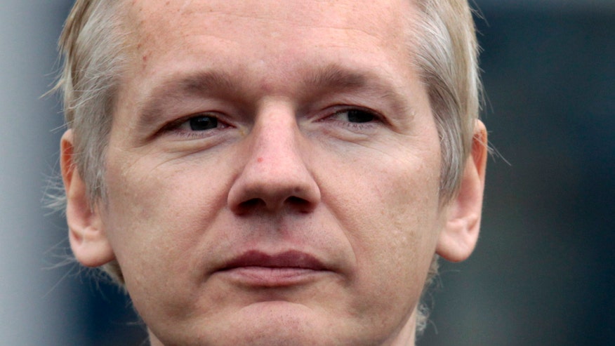 wikileaks egypt